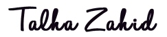 Talha Zahid | Product Designer and Front-End Developer